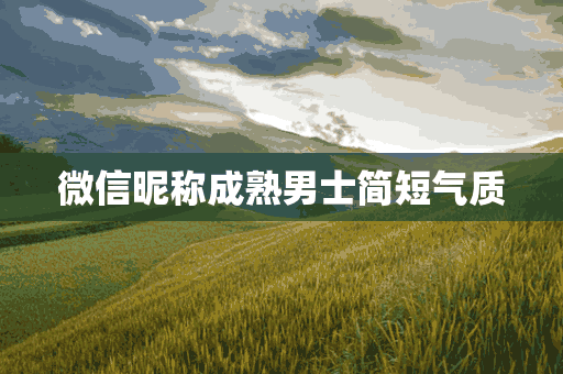 微信昵称成熟男士简短气质(微信昵称成熟男士简短气质两个字)